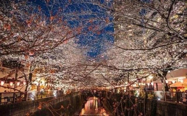 Hotel Sakuranomiya Osaka Esterno foto